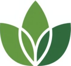 Evergreenre